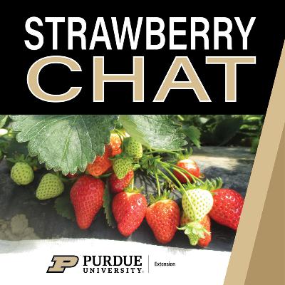 Farmer Interview with McNitt Growers: Neopestalotiopsis and Resistant Varieties | Episode 20, May 16, 2025