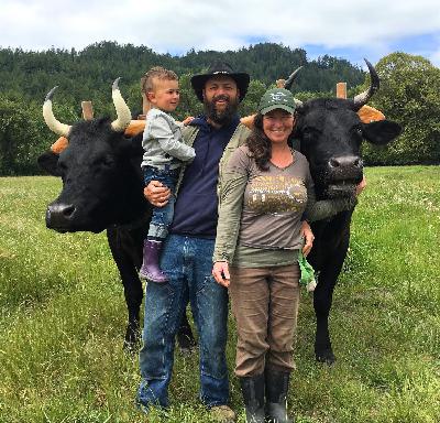 Using Oxen in a Regenerative Farm