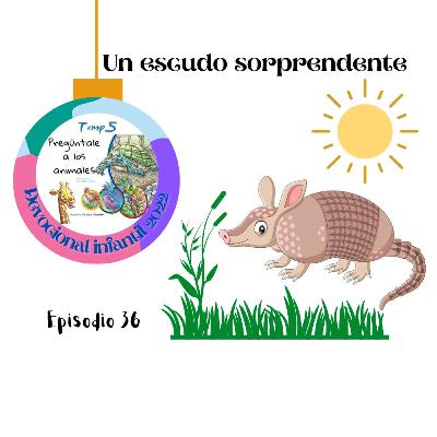 Episodio 36: Un escudo sorprendente.