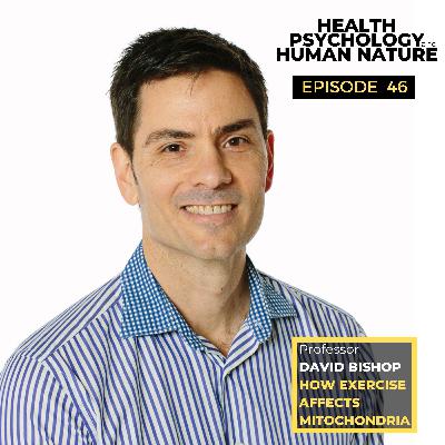 #46: How Exercise Affects Mitochondria – Professor David Bishop