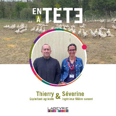 Le bien-être animal au cœur des enjeux de la filière canard