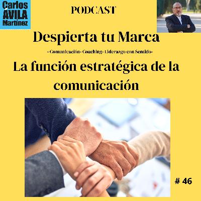 La función estratégica de la comunicación La función estratégica de la comunicación