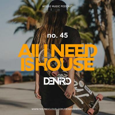 ALL I NEED IS HOUSE VOL. 45