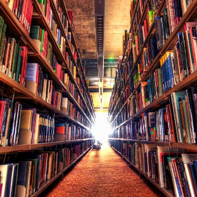 RATON DE BIBLIOTECA