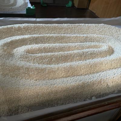 ゼミ活動シリーズ : 伝統的日本酒･生酛の酒造りを丸ごと紹介