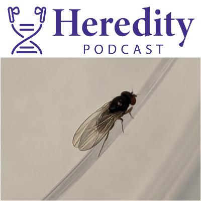 Sexual selection in a warming world