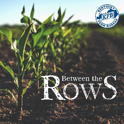 What is a Market Reporter? Carter Goff | Between the Rows | Kentucky Farm Life