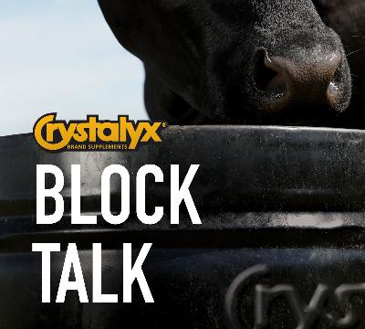 Sheep and goat breeding strategies