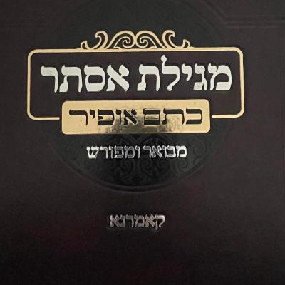 Megillat Esther - L13Y24 - Rabbi of Komarno - lesson 13 - 2024
