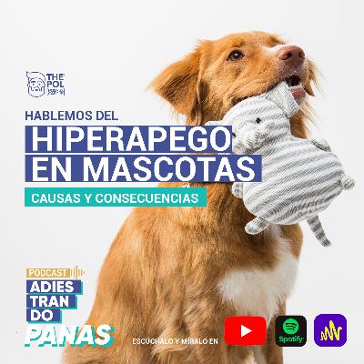 ¿Sabes si tu mascota sufre de HIPERAPEGO?