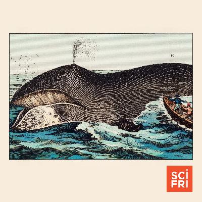 Can Animal Super-Agers Teach Us Their Secrets?