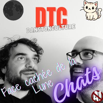 Chats & Face Cachée de la Lune