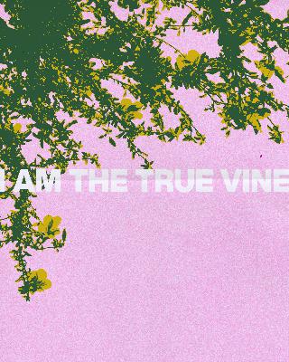Jesus in His Own Words: I Am The True Vine (Audio)