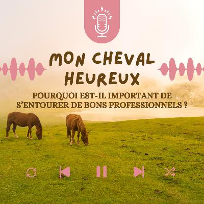 S’entourer des bons professionnels pour son cheval : Pourquoi c’est ESSENTIEL ?