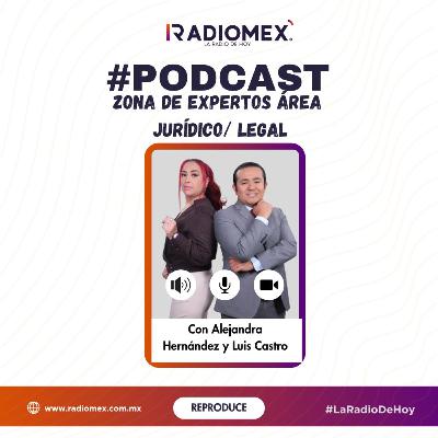 La Reforma Judicial Desde El Punto De Vista De Los Litigantes La Reforma Judicial Desde El Punto De Vista De Los Litigantes