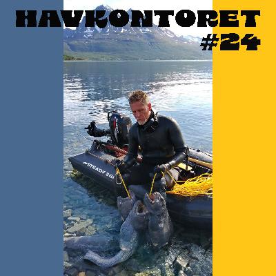Havkontoret 24 - Børje Møster