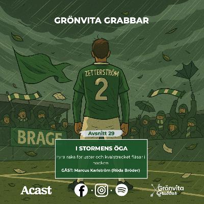 29. I stormens öga