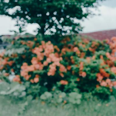An Anticipation | Tape #5
