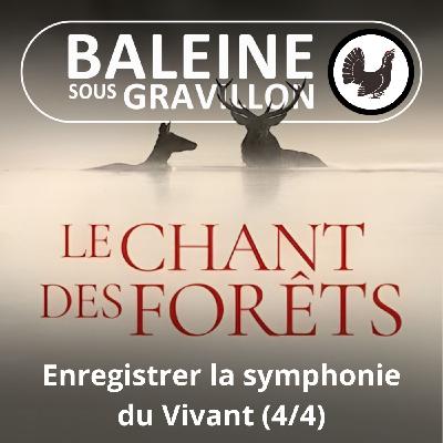 Le Chant des forêts 4/4 : Dédier sa vie à ÉCOUTER (Marc Namblard)