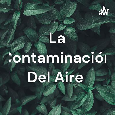 La contaminación ambiental