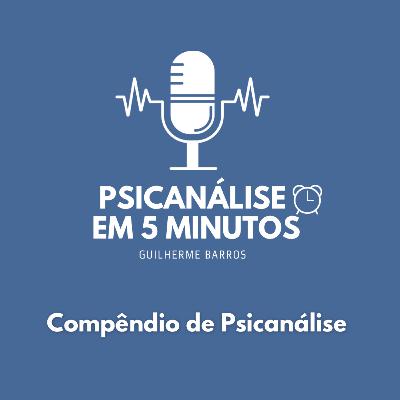 O aparelho psíquico