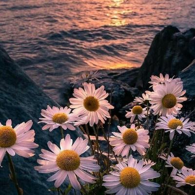 Habilidades gerenciales y liderazgo