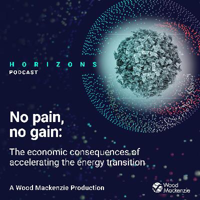 No Pain, No Gain:  The Economic Consequences of Accelerating the Energy Transition