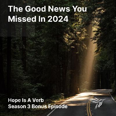 The Good News You Missed In 2024