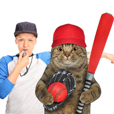 First woman big league baseball home plate umpire Yolanda Ballfour and Kitty Baby Ruth.. First woman big league baseball home plate umpire Yolanda Ballfour and Kitty Baby Ruth..