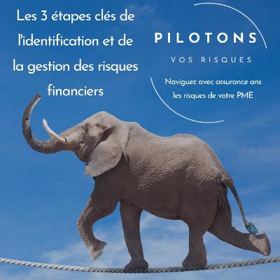 Les 3 étapes clés de l'identification et de la gestion des risques financiers Les 3 étapes clés de l'identification et de la gestion des risques financiers