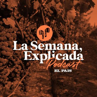 LSE: ¿por qué la propuesta de instalar una planta industrializadora de uva genera polémica entre el gobierno y productores?