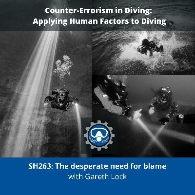 SH263: The desperate need for blame