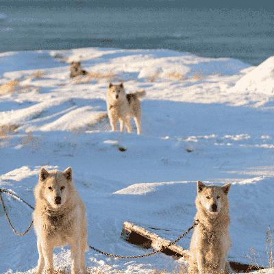 Greenland Awaits: The Emerging Destination You Need to Visit