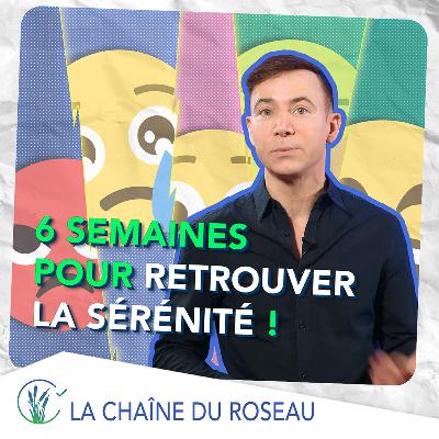 Formation : "Je gère mes émotions en 6 semaines !"