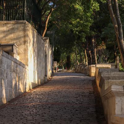 Partizan • İsmet Özel