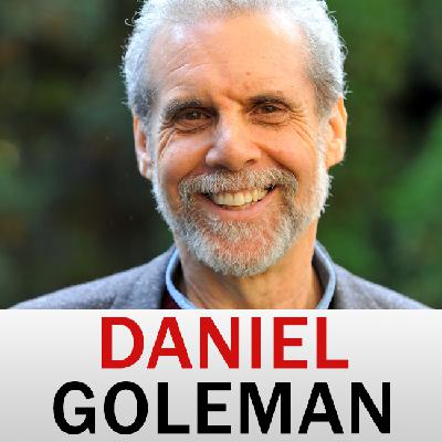 23 Daniel Goleman- Altered Traits Science Reveals How Meditation Changes Your Mind, Brain, and Body