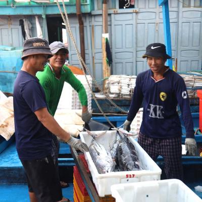 Tiêu điểm - “Chống khai thác IUU - Từ “thẻ vàng” đến “cửa xanh”