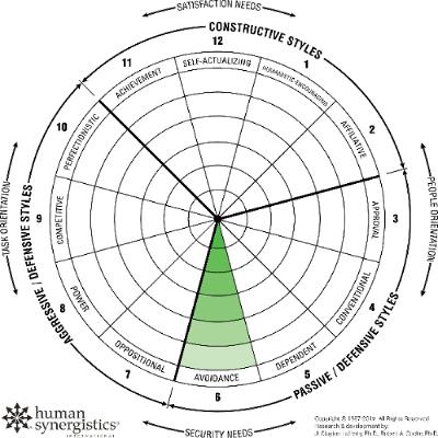 247 Avoidance Culture - When Playing It Safe Kills Performance