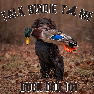 8 | Duck Dog 101 8 | Duck Dog 101
