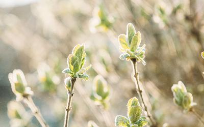 26 – Doing All the Healing Work But Still Not Happy? Reclaim Joy as a Healer