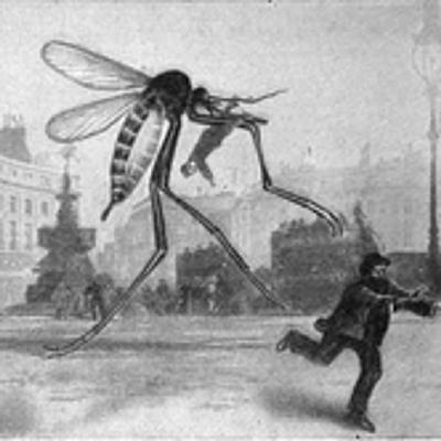 Canada's election results that nobody predicted - EP31