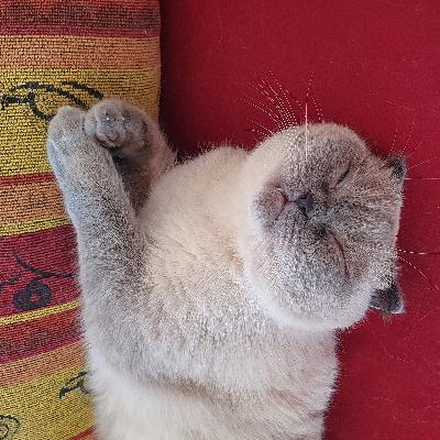 未来ニュース