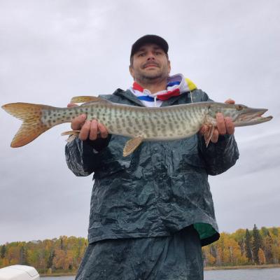 Bass Bites and Musky Strikes