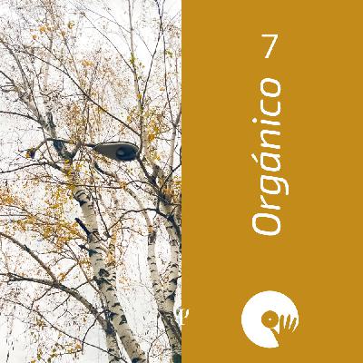 Orgánico 7 (mixed by DizzGO) Orgánico 7 (mixed by DizzGO)