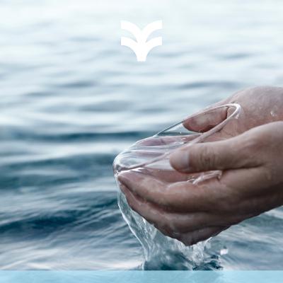 HAVEN Taufgottesdienst I Lukas 19, 1-10 I 12.10.2025 I Dominic Marx HAVEN Taufgottesdienst I Lukas 19, 1-10 I 12.10.2025 I Dominic Marx