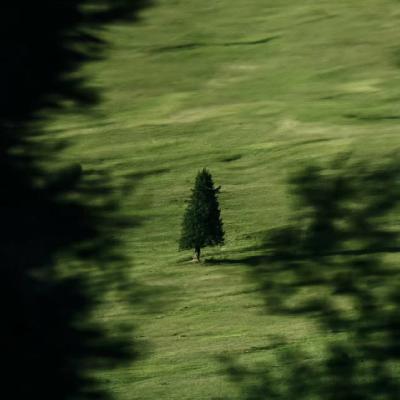 EP92. 对话赞丹赛娜：从草原到世界，我从一个很远的起点走到这里