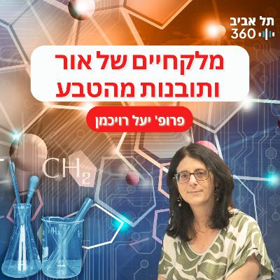 מלקחיים של אור ותובנות מהטבע