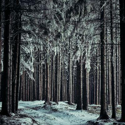 #18 - Ein Ausflug in die Wachau (Jauerling) #18 - Ein Ausflug in die Wachau (Jauerling)