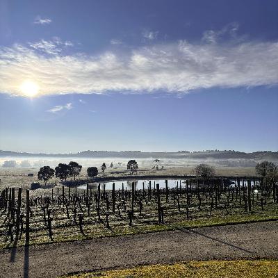 Macedon -Melbourne's boutique wine region worth a weekend away -Emily McAuliffe
