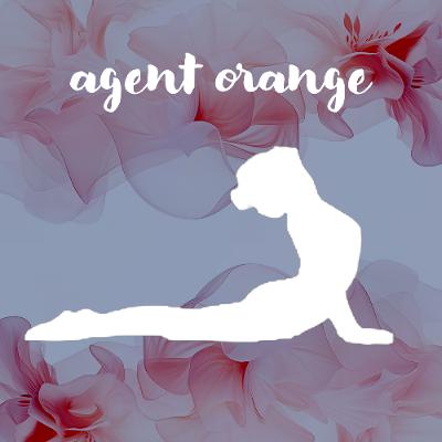 03052026 Agent Orange